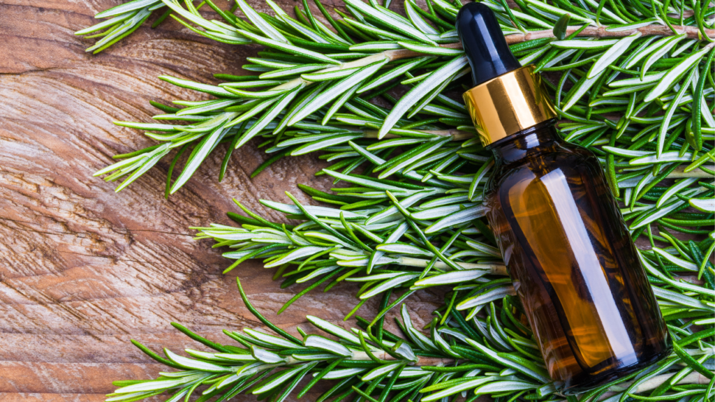 Rosemary Oil